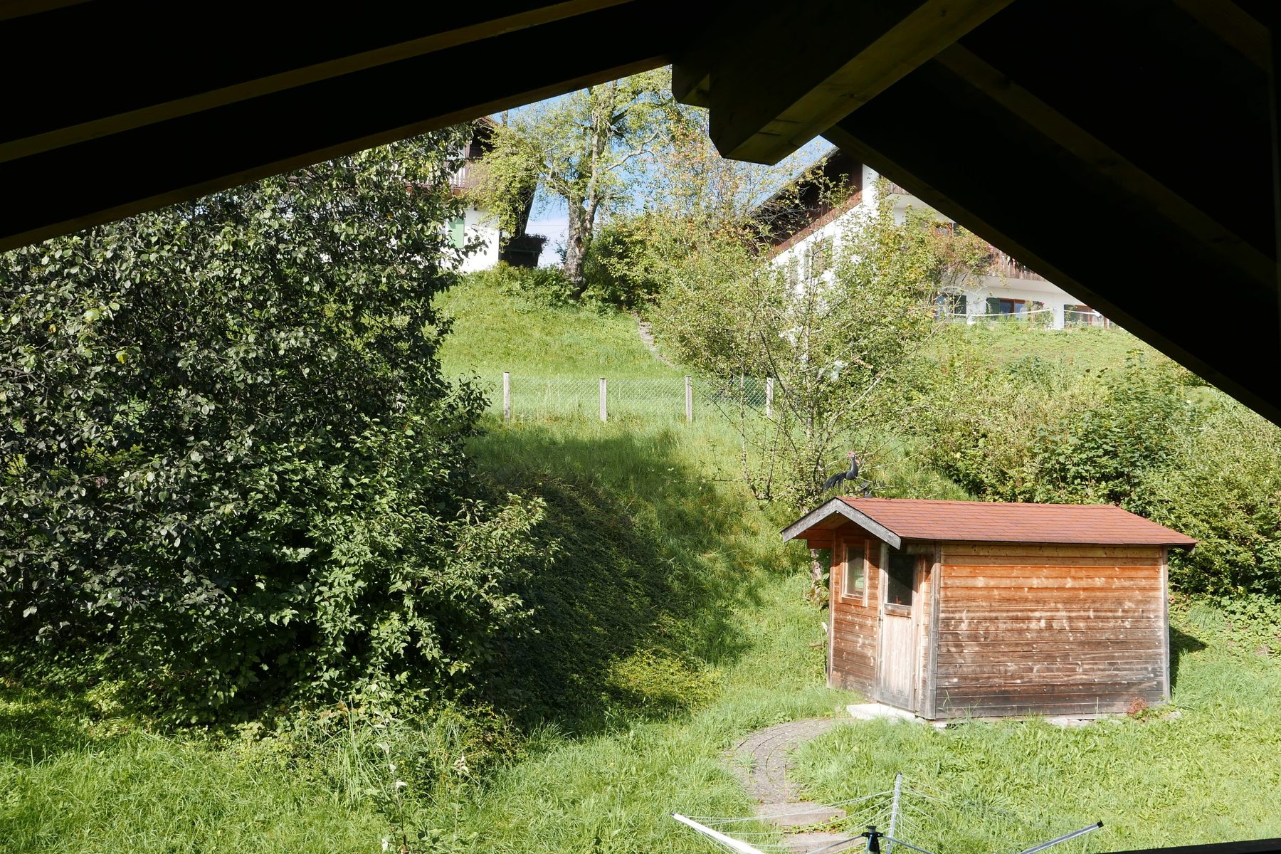 Grüne Wiese mit Obstbäumen und einem kleinen Holzschuppen hinter dem Haus