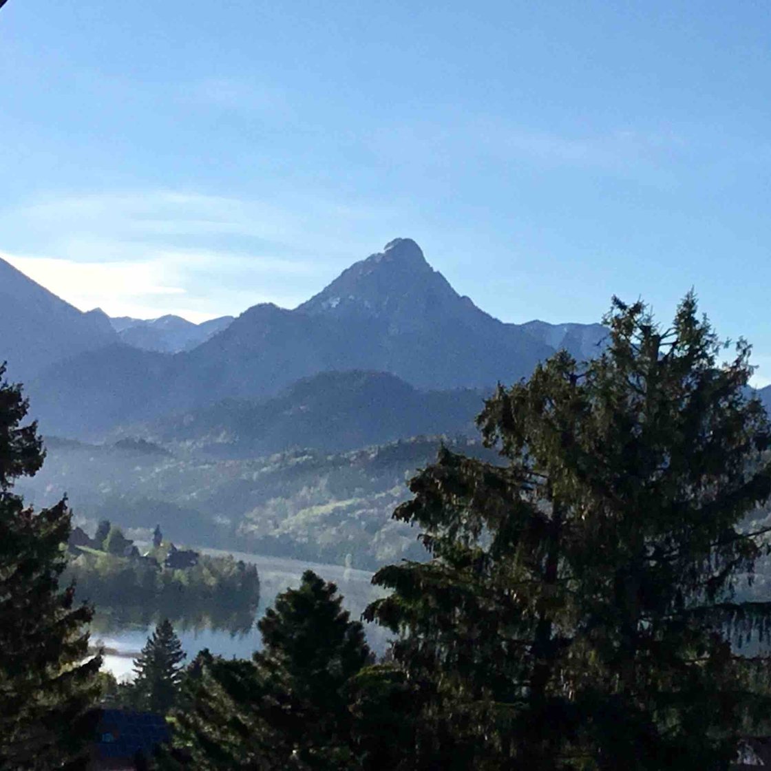 Blick von der Wohnung über Tannen auf den Weißensee und die Allgäuer Berge im Morgenlicht