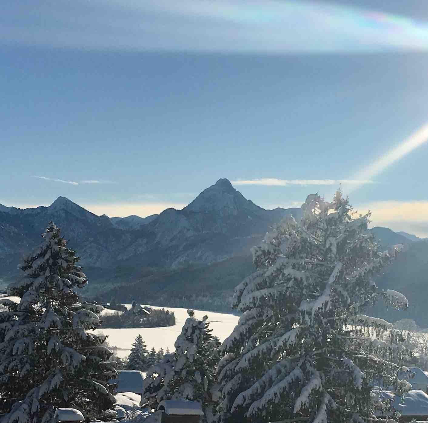 Sonne über verschneiten Tannen und Bergen